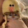 류건우 avatar